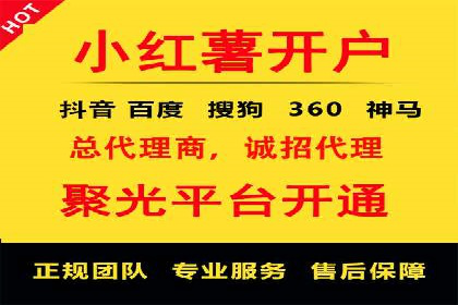 短视频信息流推广：成功案例解读